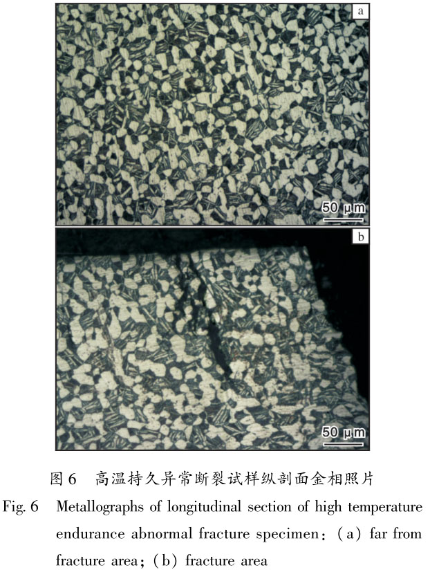 1716086085420096.jpg 未标题-2.jpg