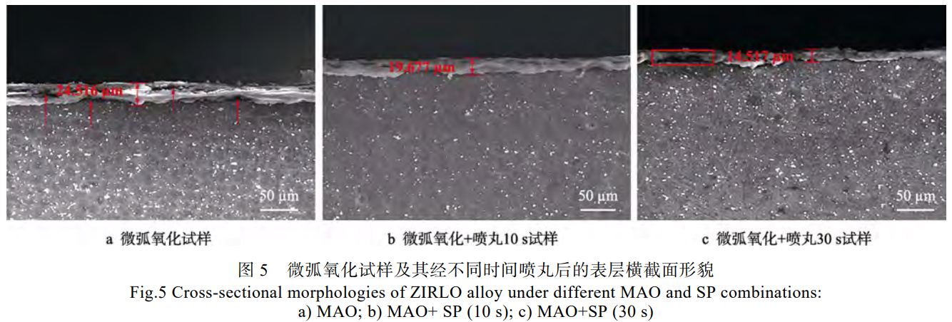1735374023430403.png 截图20241228161728.png