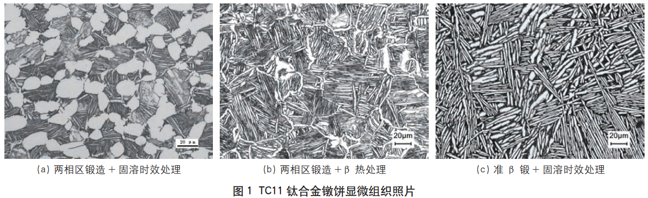 截图20241228203730.png